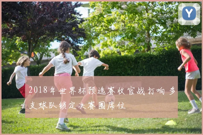 2018年世界杯预选赛收官战打响 多支球队锁定决赛圈席位