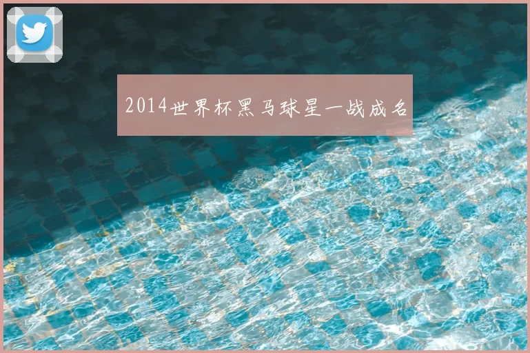 2014世界杯黑马球星一战成名