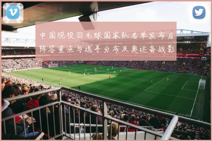 中国现役羽毛球国家队名单发布后阵容重点与选手分布及奥运备战影响分析