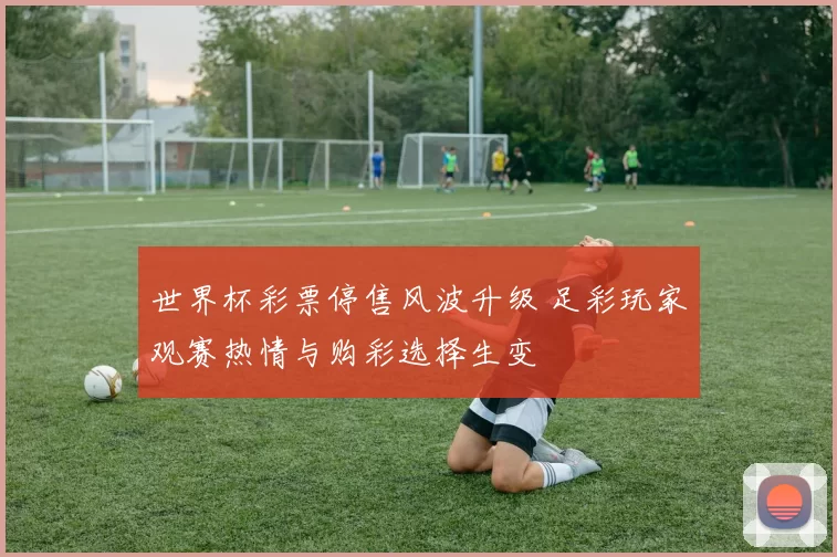 世界杯彩票停售风波升级 足彩玩家观赛热情与购彩选择生变